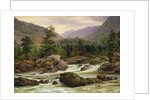 Norwegian Waterfall, 1840 by Thomas Fearnley
