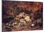 Sheep, Goats and Chickens by Johann Christian Reinhardt