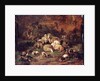 Sheep, Goats and Chickens by Johann Christian Reinhardt