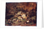 Sheep, Goats and Chickens by Johann Christian Reinhardt