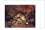 Sheep, Goats and Chickens by Johann Christian Reinhardt
