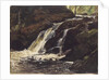 Waterfall by Christian Friedrich Gille