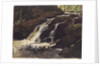 Waterfall by Christian Friedrich Gille