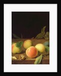 Fruit Still Life, 1730 by Balthasar Denner