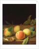 Fruit Still Life, 1730 by Balthasar Denner
