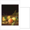 Fruit Still Life, 1730 by Balthasar Denner