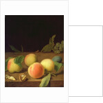 Fruit Still Life, 1730 by Balthasar Denner