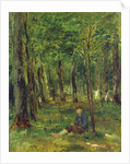 Young Farmer sitting in the Forest, 1878 by Thomas Ludwig Herbst