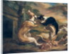 The Dog Fight, 1678 by Juriaen Jacobsz