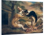 The Dog Fight, 1678 by Juriaen Jacobsz