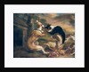 The Dog Fight, 1678 by Juriaen Jacobsz