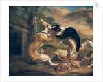 The Dog Fight, 1678 by Juriaen Jacobsz