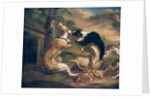 The Dog Fight, 1678 by Juriaen Jacobsz