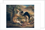 The Dog Fight, 1678 by Juriaen Jacobsz