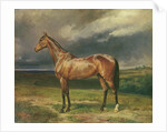 Abdul Medschid the chestnut arab horse, 1855 by Carl Constantin Steffeck