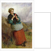 The Flower of Dunblane, 1867 by Thomas Faed