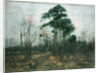 Park Landscape: Forest in Spring by Rudolf Hockner