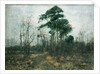 Park Landscape: Forest in Spring by Rudolf Hockner
