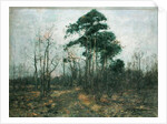 Park Landscape: Forest in Spring by Rudolf Hockner