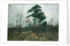 Park Landscape: Forest in Spring by Rudolf Hockner