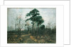 Park Landscape: Forest in Spring by Rudolf Hockner