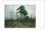 Park Landscape: Forest in Spring by Rudolf Hockner