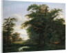 Oak Wood, 1847 by David Christopher Mettlerkamp
