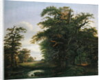 Oak Wood, 1847 by David Christopher Mettlerkamp