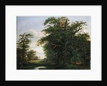 Oak Wood, 1847 by David Christopher Mettlerkamp