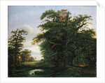 Oak Wood, 1847 by David Christopher Mettlerkamp