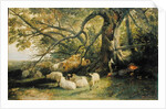 Resting Flock, 1863 by John William Bottomley