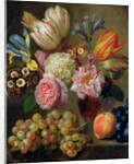 Flower Study by Balthasar Denner