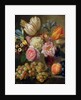 Flower Study by Balthasar Denner