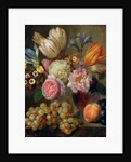 Flower Study by Balthasar Denner