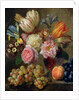 Flower Study by Balthasar Denner