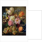 Flower Study by Balthasar Denner