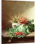Still Life of Strawberries, Carrots and Cabbage by David Emil Joseph de Noter