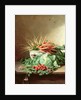 Still Life of Strawberries, Carrots and Cabbage by David Emil Joseph de Noter