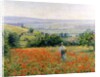Woman in a Poppy Field by Leon Giran-Max