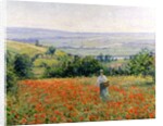 Woman in a Poppy Field by Leon Giran-Max