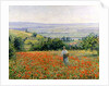 Woman in a Poppy Field by Leon Giran-Max