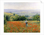 Woman in a Poppy Field by Leon Giran-Max