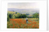 Woman in a Poppy Field by Leon Giran-Max