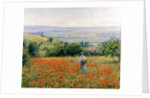 Woman in a Poppy Field by Leon Giran-Max