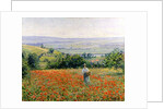 Woman in a Poppy Field by Leon Giran-Max