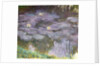 Waterlilies, 1917 by Claude Monet