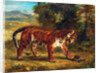 Tiger with Tortoise, 1862 by Ferdinand Victor Eugene Delacroix