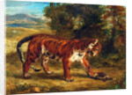 Tiger with Tortoise, 1862 by Ferdinand Victor Eugene Delacroix