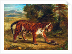 Tiger with Tortoise, 1862 by Ferdinand Victor Eugene Delacroix