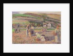 The Potato Harvest, 1886 by Camille Pissarro